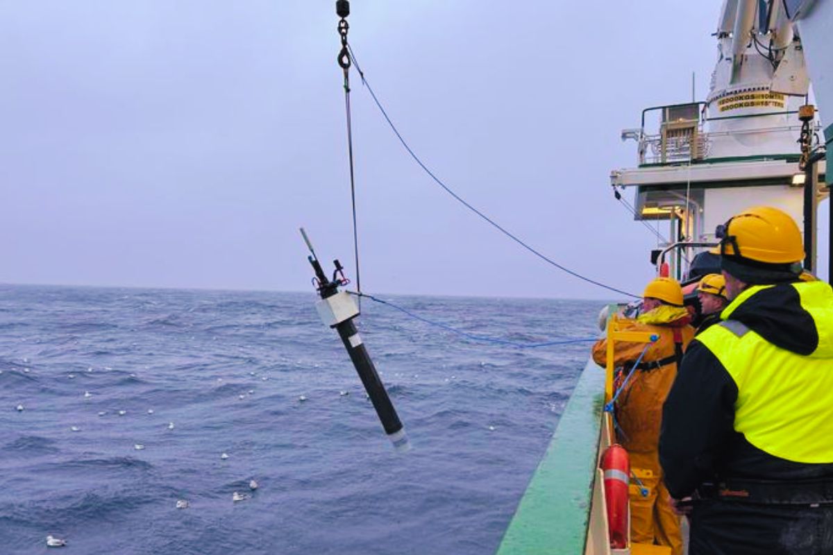 Canadian robot finds a buried weight equal to 250 million elephants beneath the ocean, showing advanced underwater technology exploring deep sea.