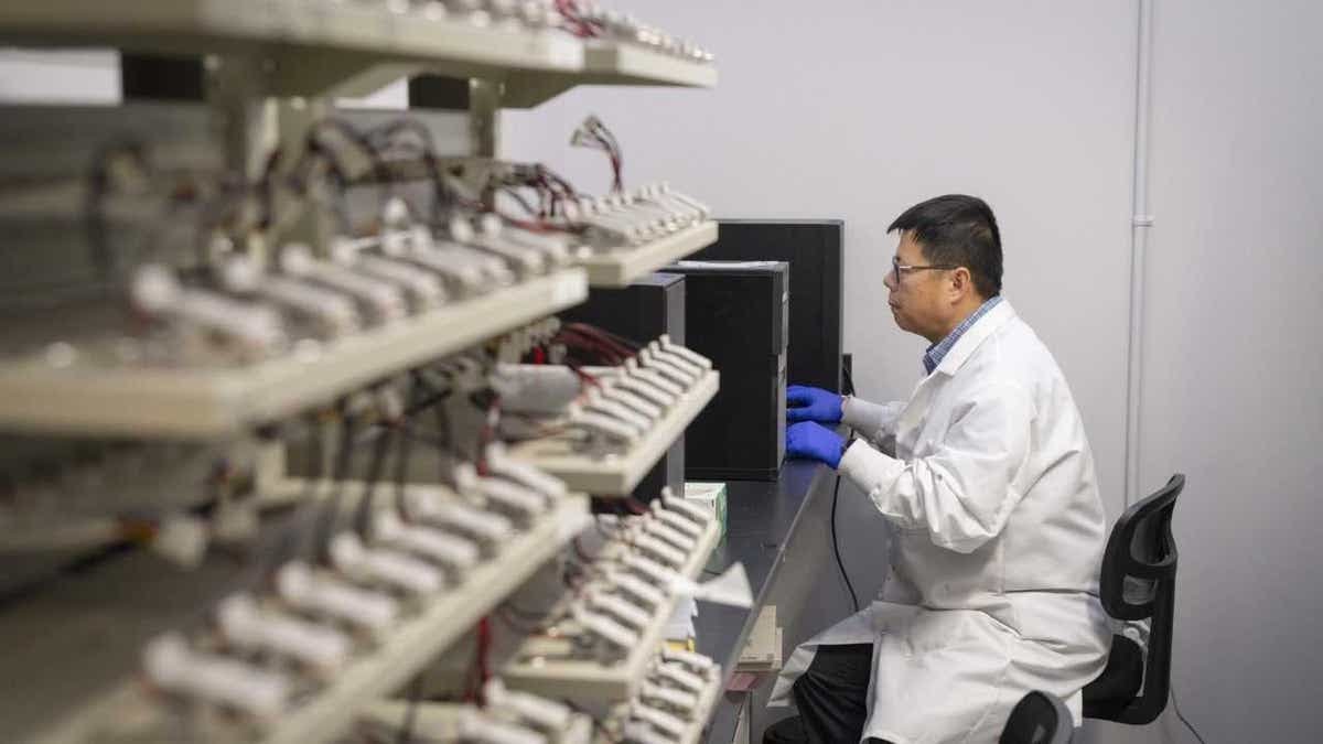 A sustainable EV battery recycling process developed by WPI, recovering 92% of critical metals like lithium, cobalt, and nickel