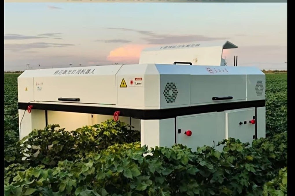 China’s advanced cotton topping robot using laser technology in Xinjiang cotton fields for fully automated cultivation.