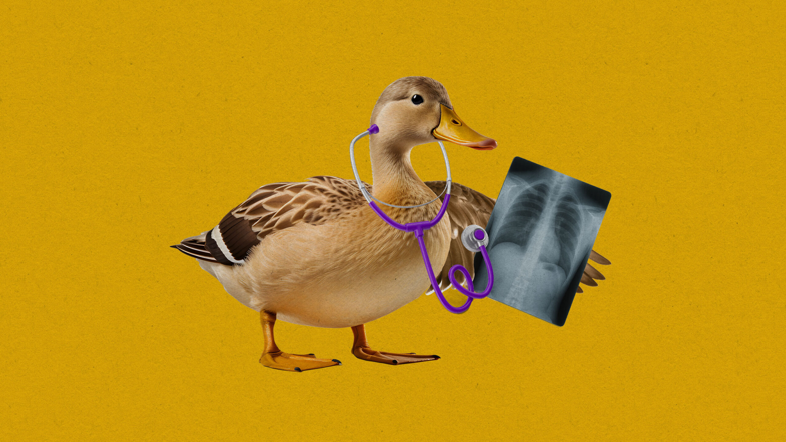 A patient receiving AI-generated medical advice on a smartphone without any health disclaimer displayed.