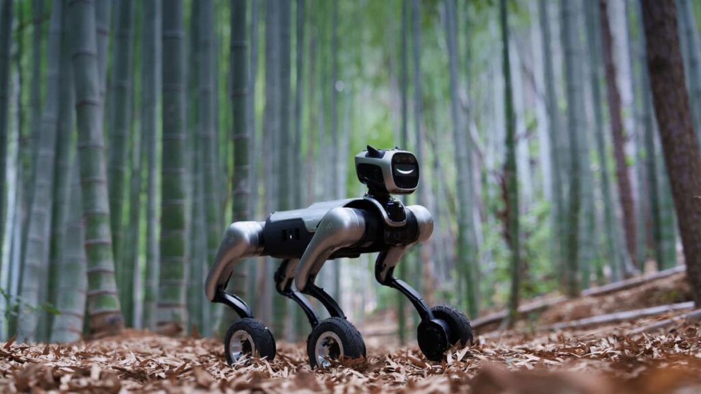 AI Robot Dog exploring a bamboo forest on four wheels