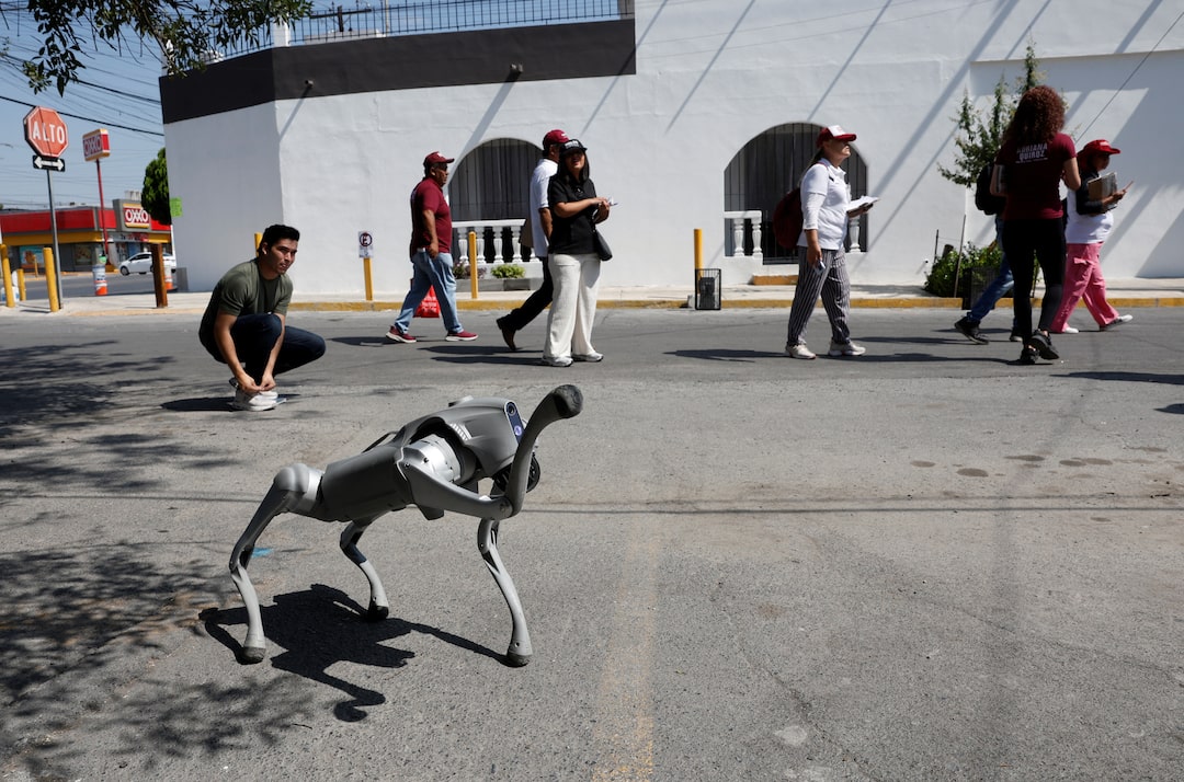 AI robot dog for animal welfare spreading kindness in Monterrey, Mexico streets