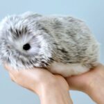 A person gently holding smart robot pet personality Moflin in their hands.