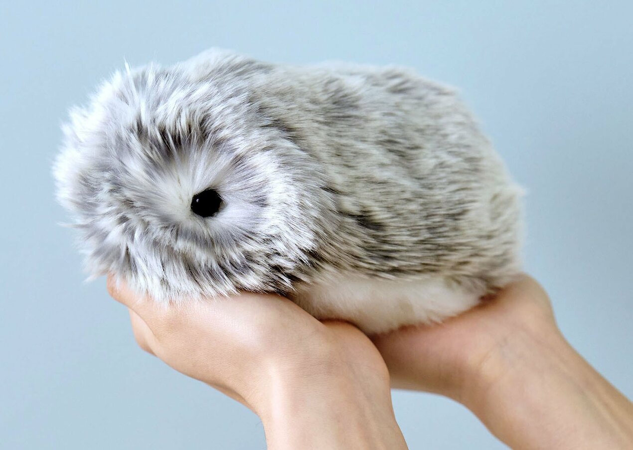 A person gently holding smart robot pet personality Moflin in their hands.