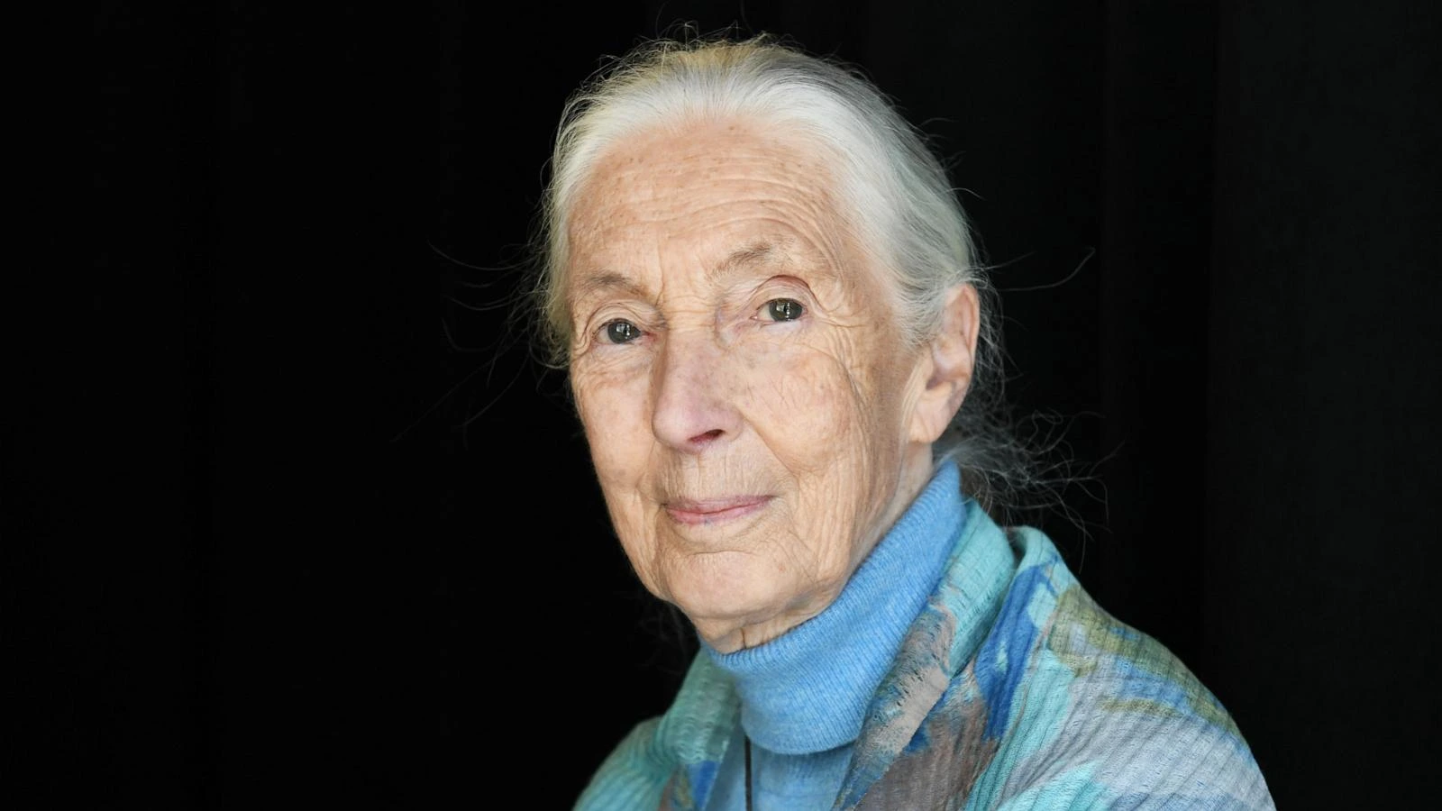 Jane Goodall dies at 91 – Renowned primatologist and conservationist remembered for groundbreaking chimpanzee research