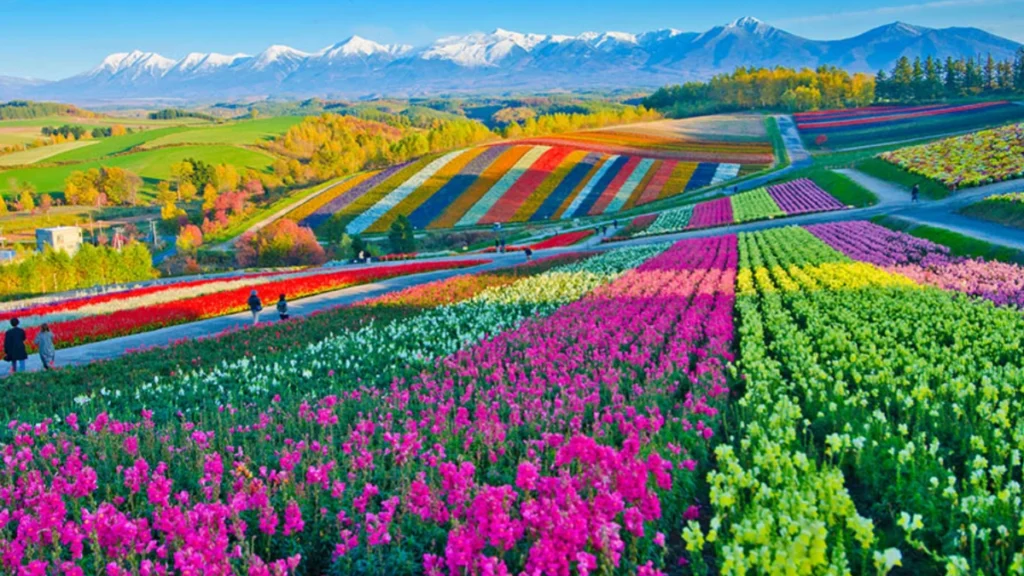 Japan’s high stakes gamble to build a semiconductor hub in Hokkaido