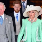 Queen Camilla and King Charles with Prince Harry and Meghan Markle amid reported Prince Harry reconciliation