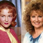 Shelley Fabares Dies at 82: The Donna Reed Show and Coach Star