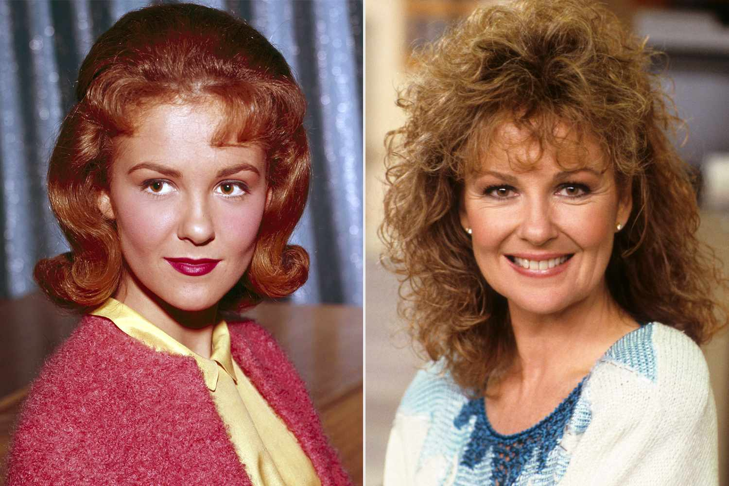 Shelley Fabares Dies at 82: The Donna Reed Show and Coach Star