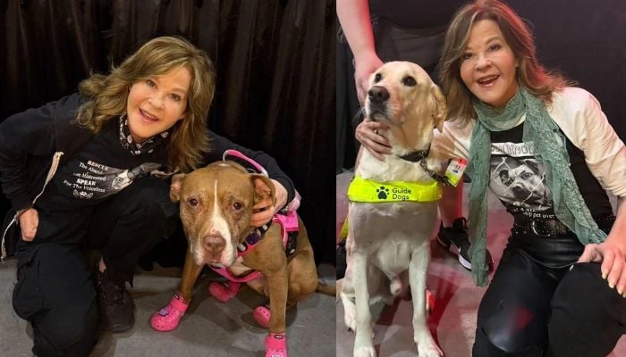 Linda Blair poses with two rescue dogs in separate photos as attention grows following the Linda Blair property search investigation.